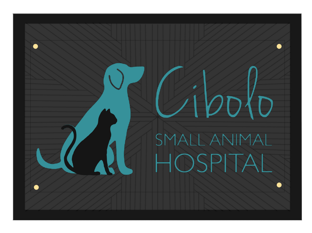 Custom Listing For Cibolo Small Animal Hospital